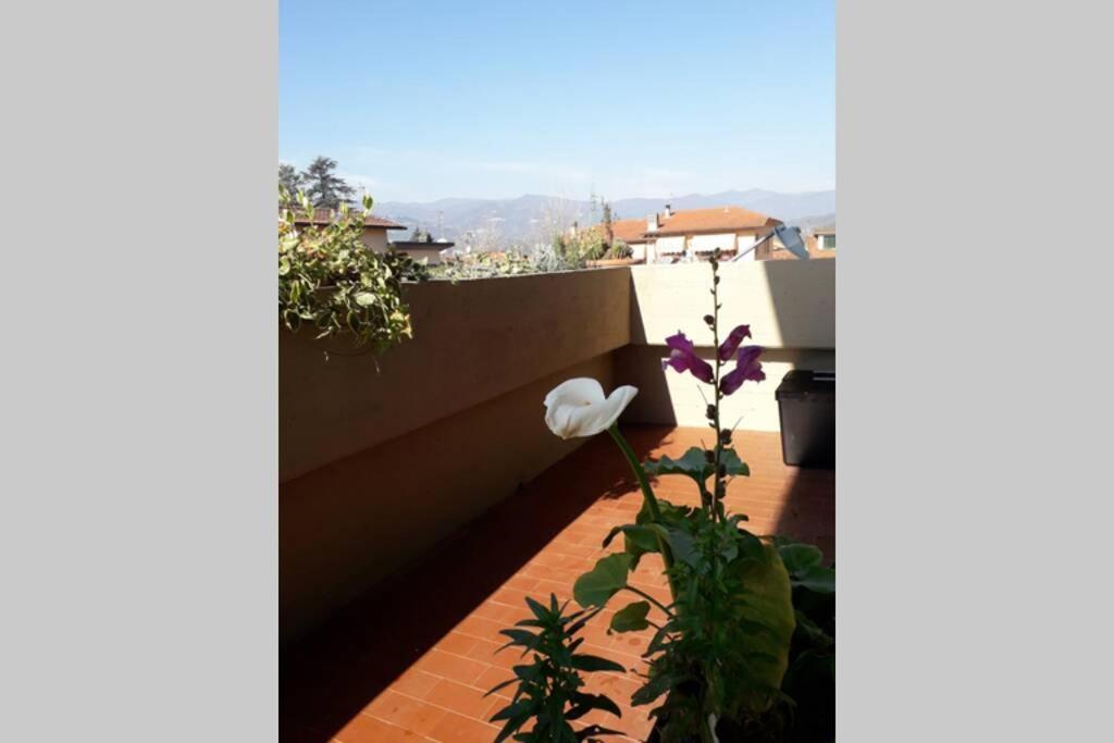 Appartement Locazione Turistica Chichibio à Pistoia Extérieur photo
