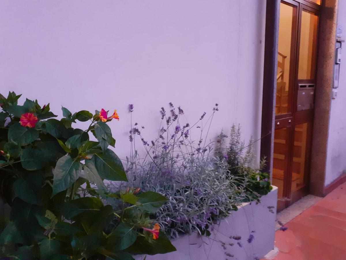 Appartement Locazione Turistica Chichibio à Pistoia Extérieur photo